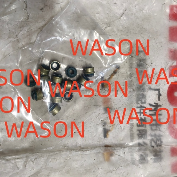 V80  Engine Gasket Kit SC25R136Q4