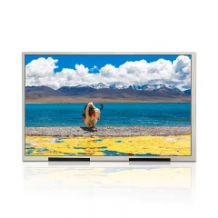 10.1 inch HD 1280x800 resolution LVDS Interface IPS TFT LCD Display Optional Capacitive Touch Screen