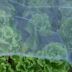 10'x100' Mosquito Bug Insect Bird Net Barrier Hunting Blind Garden Netting For Protect Your Plant Fruits Flower