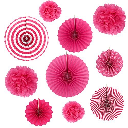 Set of 10 Paper Fans Rosettes Hanging Ornament Birthday Party Wedding Decorative
