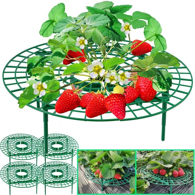 10 Packs Strawberry Plant Support Growing Frame, Keeping Fruit Elevated to Avoid Ground Rot and Dirt