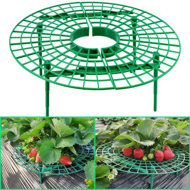 10 Packs Strawberry Plant Support Growing Frame, Keeping Fruit Elevated to Avoid Ground Rot and Dirt