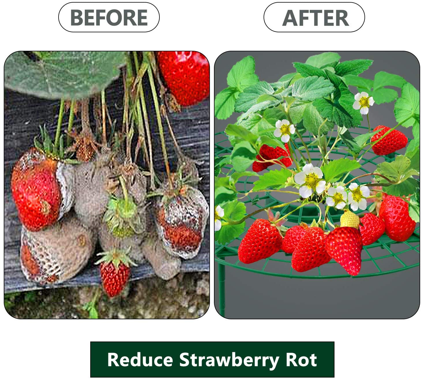 10 Packs Strawberry Plant Support Growing Frame, Keeping Fruit Elevated to Avoid Ground Rot and Dirt