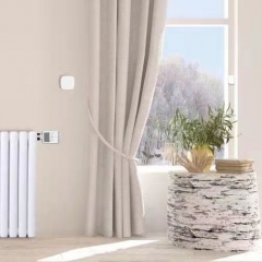 Smart Thermostat Radiator Valve