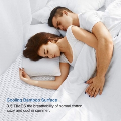 Mattress Protector