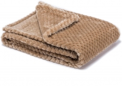 Fuzzy Throw Blanket