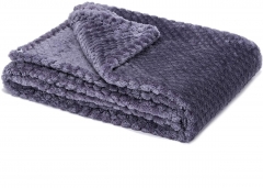 Fuzzy Throw Blanket