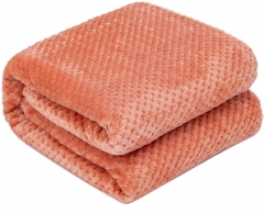 Fuzzy Throw Blanket