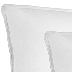 2-PACK PILLOW