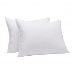 2-PACK PILLOW