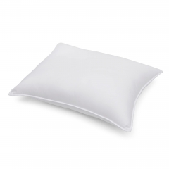 2-PACK PILLOW