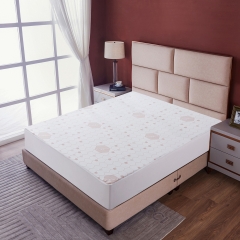 Mattress Protector