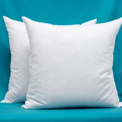 2-pack feather pillow