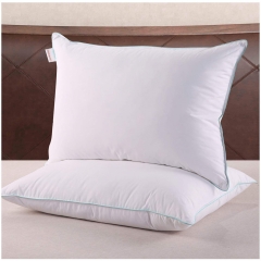 2-pack feather pillow