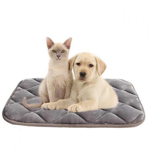 Pets bed