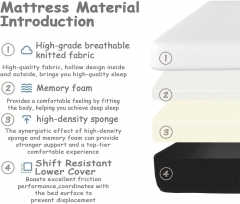 Memory Foam Mattress