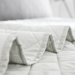 Ultrasonic Quilted Cationic Comforter Set