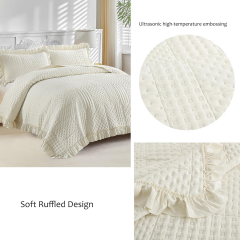 Ultrasonic Quilted Comforter Set
