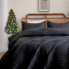 Ultrasonic Quilted Microfiber Comforter Set