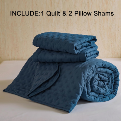 Ultrasonic Quilted Microfiber Comforter Set