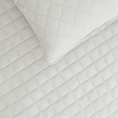 Ultrasonic Quilted Cationic Comforter Set