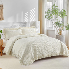 Ultrasonic Quilted Comforter Set