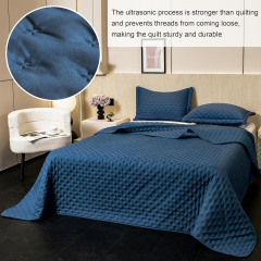 Ultrasonic Quilted Microfiber Comforter Set