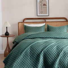 Ultrasonic Quilted Microfiber Comforter Set