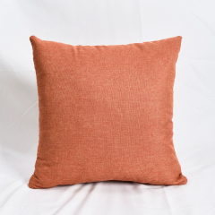 Cushion