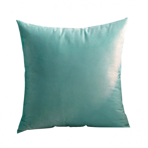 Cushion