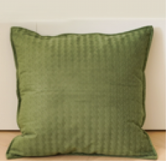 Cushion