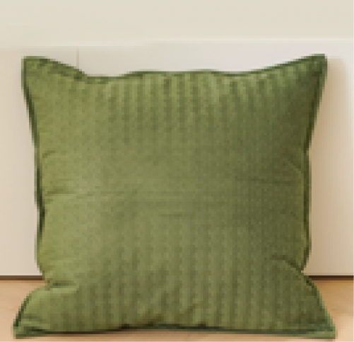 Cushion