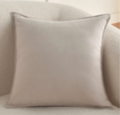Cushion