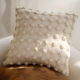 Cushion