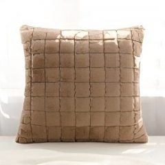 Cushion