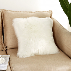 Cushion