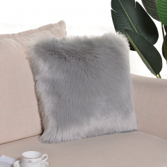 Cushion