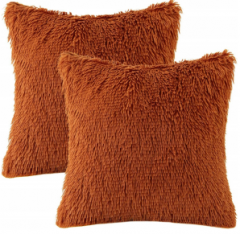 Cushion