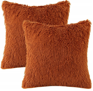 Cushion