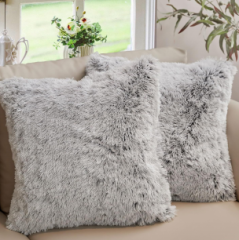 Cushion
