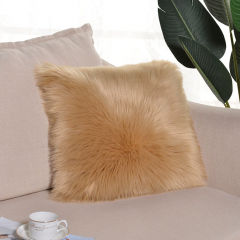 Cushion