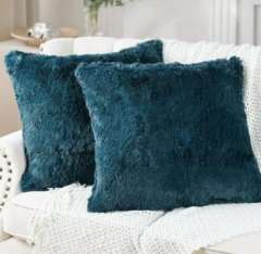 Cushion