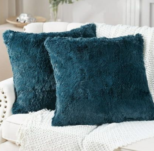 Cushion