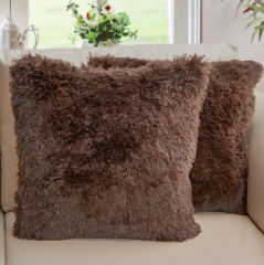 Cushion