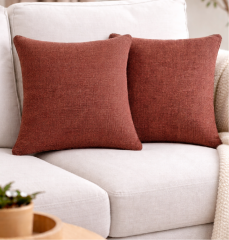 Cushion