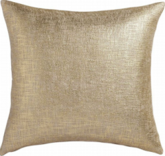 Cushion