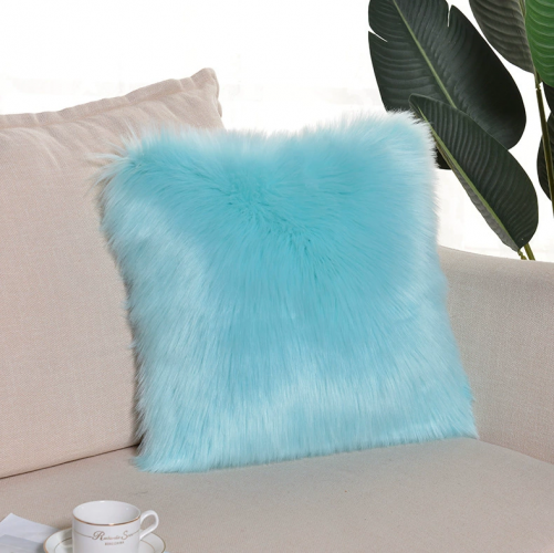 Cushion