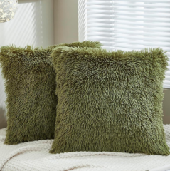 Cushion