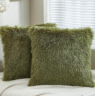 Cushion