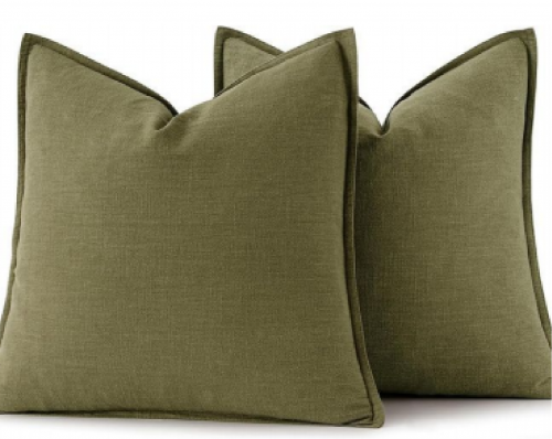 Cushion